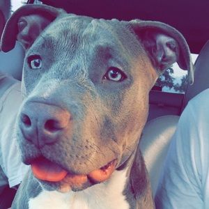 Meet your Posher, Dustyn